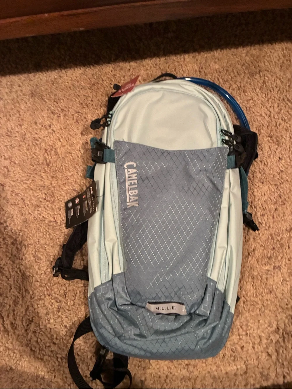 CamelBak M.U.L.E Women's Fit Hydration Pack in Light Mint and Slate Blue 12 L